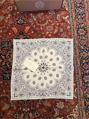 White Bandana with Black Paisley Print